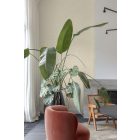 Grandeco / Precious Weaves tapéta