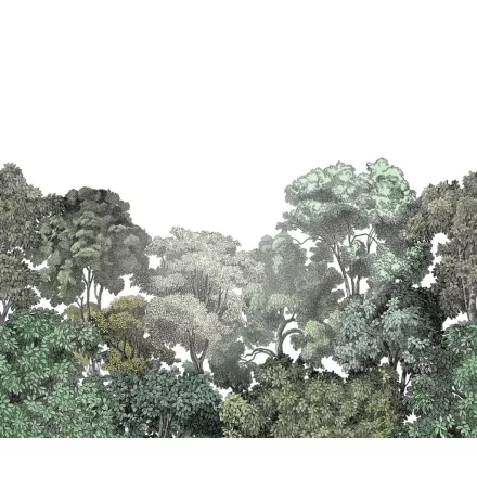 Rebel Walls / Dreamland