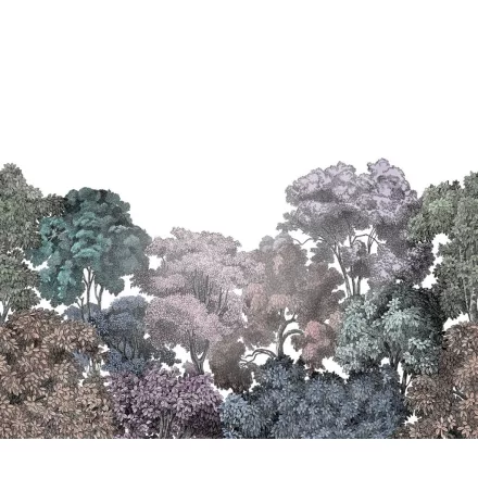 Rebel Walls / Dreamland