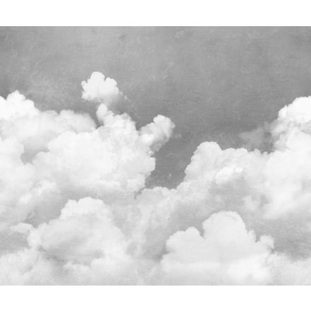 Rebel Walls / Dreamland