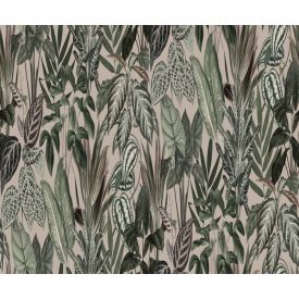 Rebel Walls / Wonder World