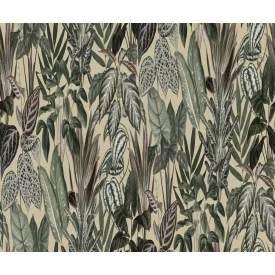 Rebel Walls / Wonder World