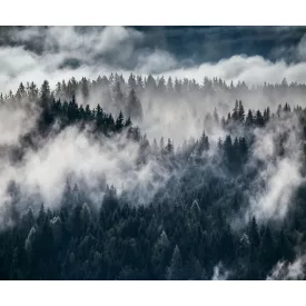 Rebel Walls / Well-Being