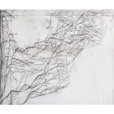 Rebel Walls / Well-Being