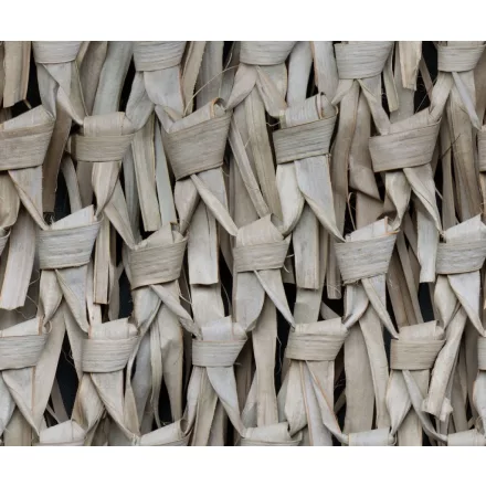 Rebel Walls / Well-Being