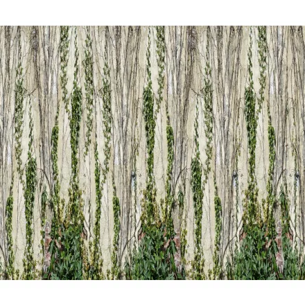 Rebel Walls / Well-Being