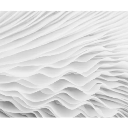 Rebel Walls / Reality Escape