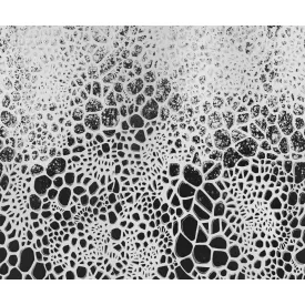 Rebel Walls / Reality Escape