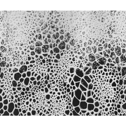 Rebel Walls / Reality Escape