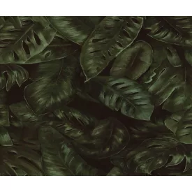 Rebel Walls / Oddity