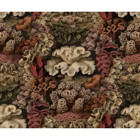 Rebel Walls / Oddity