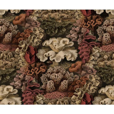 Rebel Walls / Oddity