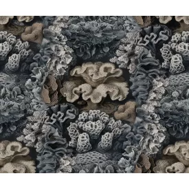 Rebel Walls / Oddity