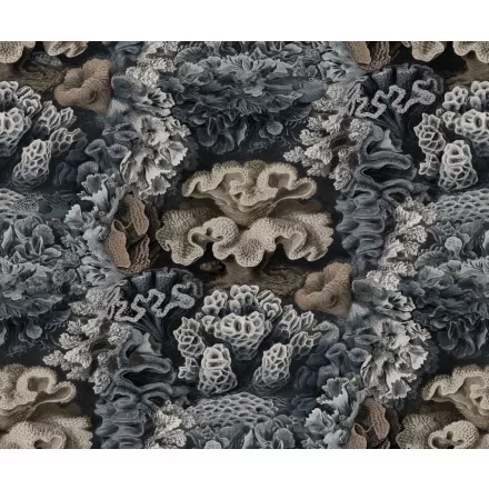 Rebel Walls / Oddity