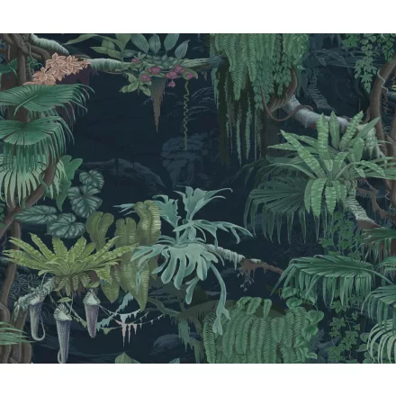 Rebel Walls / Oddity