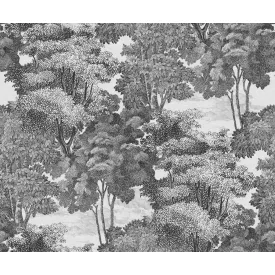 Rebel Walls / Oddity