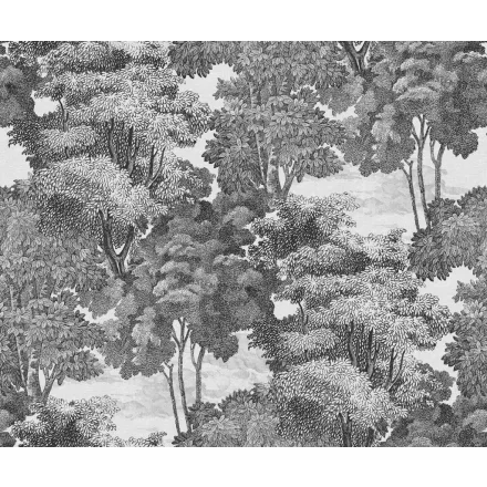 Rebel Walls / Oddity