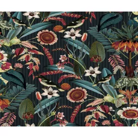 Rebel Walls / Oddity