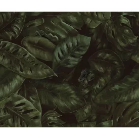 Rebel Walls / Oddity