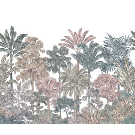 Rebel Walls / Wonder World