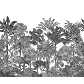 Rebel Walls / Wonder World