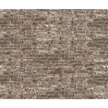 Rebel Walls / Scenery