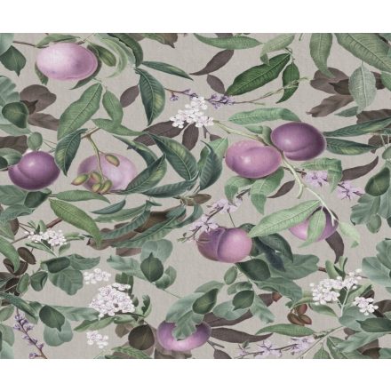 Rebel Walls / Dreamland