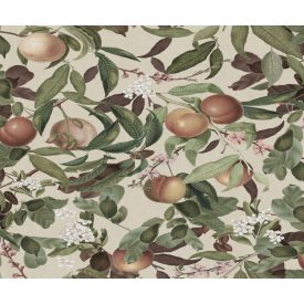 Rebel Walls / Dreamland