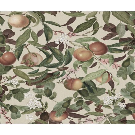 Rebel Walls / Dreamland