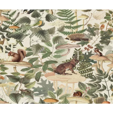 Rebel Walls / Dreamland