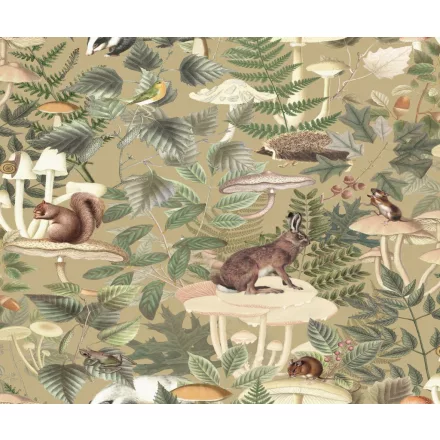 Rebel Walls / Dreamland