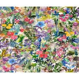 Rebel Walls / Dreamland