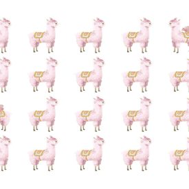 Rebel Walls / Dreamland