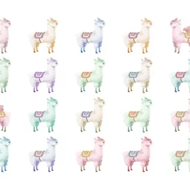 Rebel Walls / Dreamland