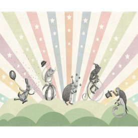 Rebel Walls / Dreamland