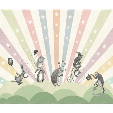 Rebel Walls / Dreamland