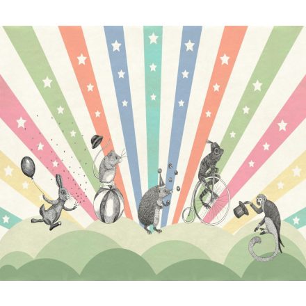 Rebel Walls / Dreamland