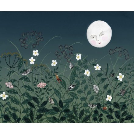 Rebel Walls / Dreamland