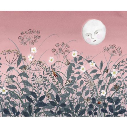 Rebel Walls / Dreamland