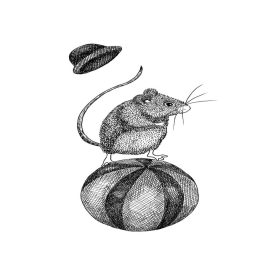 Rebel Walls / Dreamland