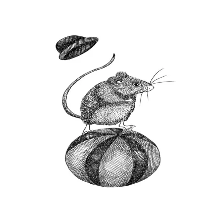 Rebel Walls / Dreamland