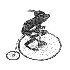 Rebel Walls / Wonder World