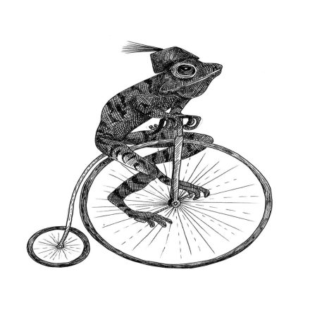 Rebel Walls / Wonder World