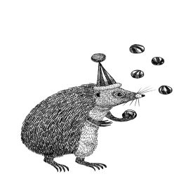 Rebel Walls / Wonder World