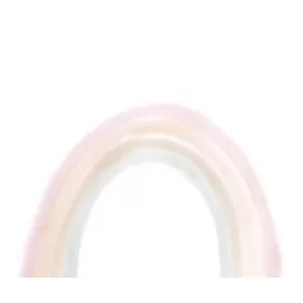 Rebel Walls / Dreamland