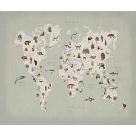 Rebel Walls / Wonder World