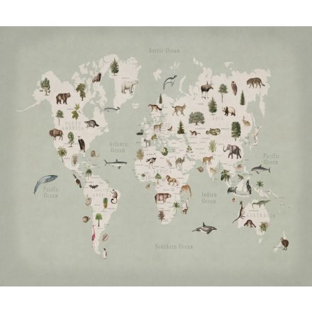 Rebel Walls / Wonder World