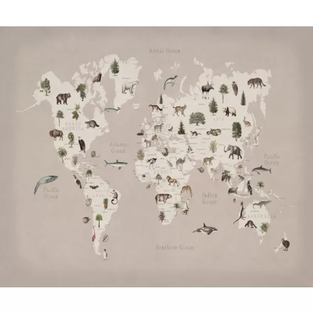 Rebel Walls / Wonder World