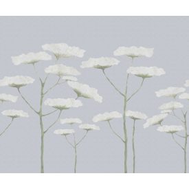 Rebel Walls / Cottage Core - Cottage Cool