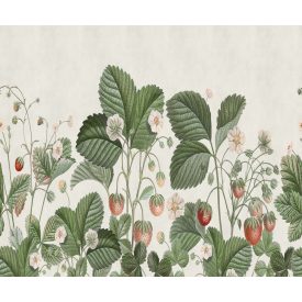 Rebel Walls / Cottage Core - Cottage Cool